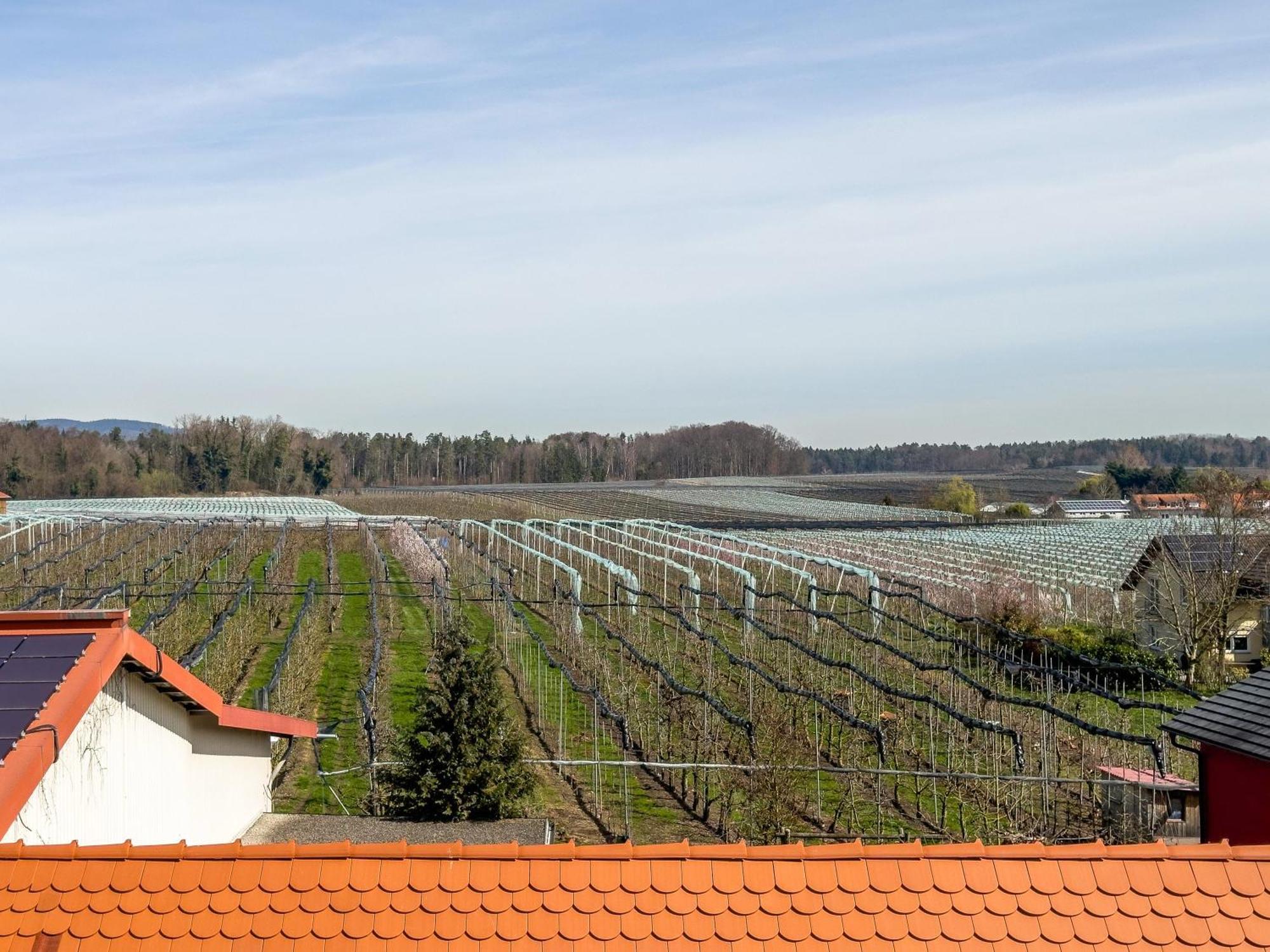Obst- Ferienhof Ragg Immenstaad am Bodensee Luaran gambar